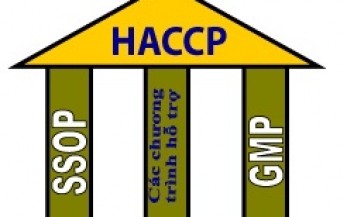 Bạn có sẵn sàng thực hiện áp dụng HACCP?