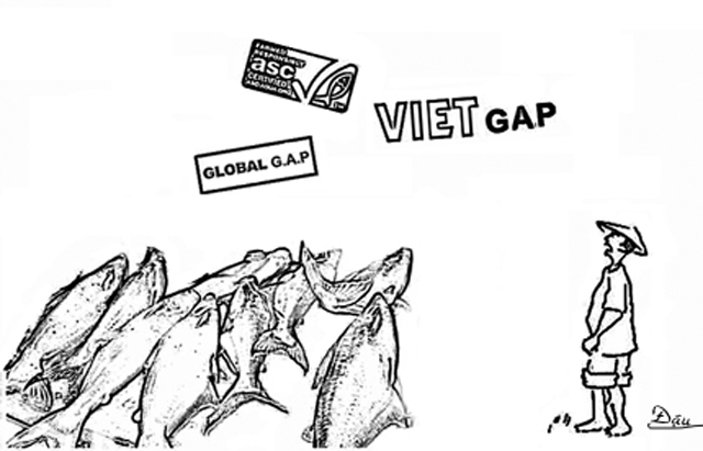 VietGAP, VietGAP thủy sản, VietGAP thủy sản, VietGAP nuôi tôm, VietGAP nuôi trồng